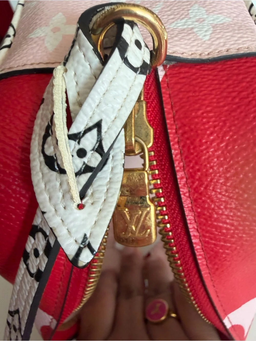 Louis Vuitton Pink and Red Clear bag